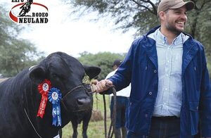 Los primeros animales ya ingresan al predio de la Expo Rodeo Neuland en su primer día