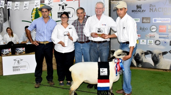 La Nacional Hampshire Down brilló por la calidad genética de ejemplares Pedigree