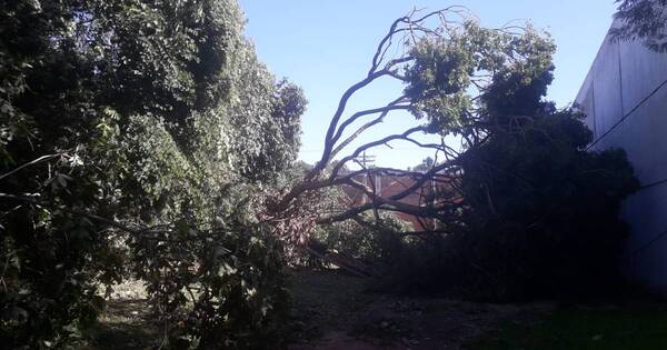 La Nación / Pobladores de Areguá llevan más de 60 horas sin energía eléctrica