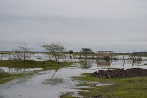 Oleros de Villa Florida reiteran necesidad de ayuda - Nacionales - ABC Color