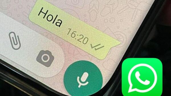 Cañeó a los que no ponen el "visto" a su WhatsApp y armó debate