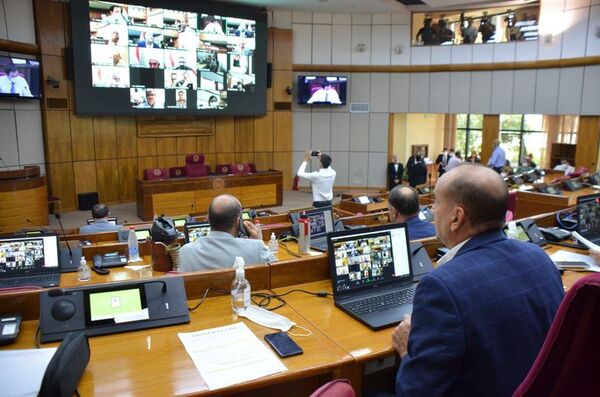 Senado accede a exigencia de camioneros y aprueba proyecto de ley de compra directa de combustible - Nacionales - ABC Color