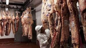 Carne: “al no vender a China estamos en desventaja”