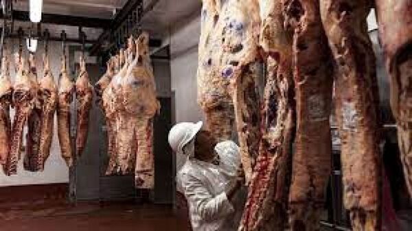 Carne: “al no vender a China estamos en desventaja”
