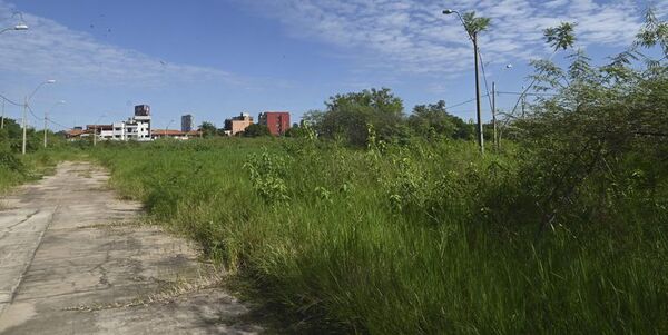 Construcción de universidad de Taiwán en Parque Guasu es una amenaza a calidad de vida, dice biólogo - Nacionales - ABC Color