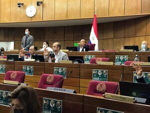 Senado aprueba Ley que autoriza a Petropar comprar combustibles sin intermediarios - MarketData