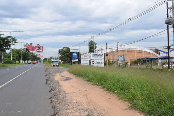 Yuyales siguen adornando la zona del aeropuerto Silvio Pettirossi - Nacionales - ABC Color