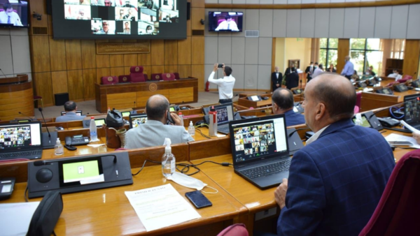 Senado aprueba compras ágiles para Petropar - El Independiente