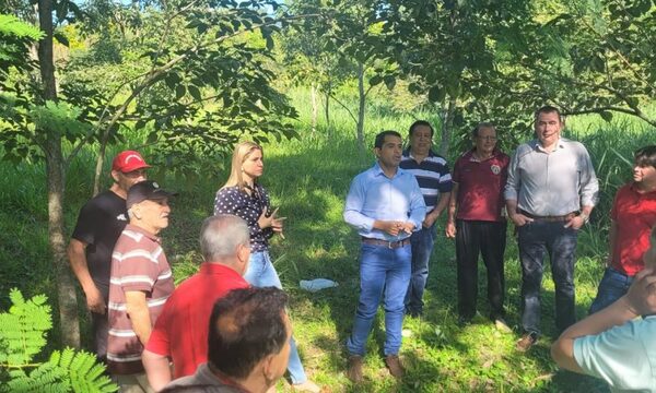 Colorados de Pdte. Franco politizan intenciónde instalar USF en el parque Independencia – Diario TNPRESS