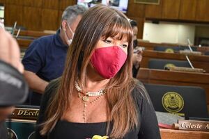 Comisión de mayoría cartista no tiene “preopiniones” sobre Celeste Amarilla, afirma Derlis Maidana - Nacionales - ABC Color