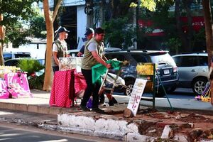 Reordenan a vendedores en la Avenida Boggiani - Nacionales - ABC Color