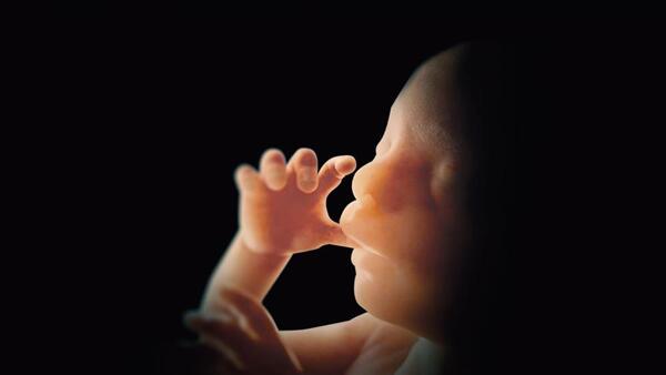 455 vidas fueron salvadas del aborto durante la campaña de primavera «40 días por la vida»