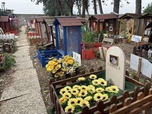 El cementerio de mascotas más antiguo de Italia y la gallina de Mussolini - Mascotas - ABC Color
