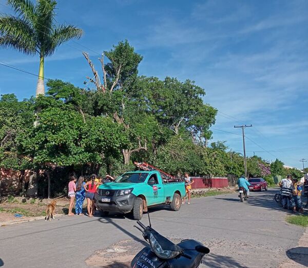 Hombre muere electrocutado mientras podaba un árbol en Ybytymí - Nacionales - ABC Color
