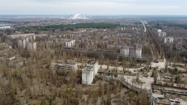 Alerta de riesgos para seguridad de plantas nucleares por invasión rusa