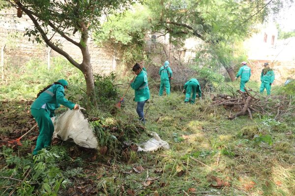 Senepa reporta que el 95% de las casas contienen criaderos - La Clave