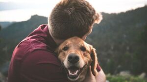 Diario HOY | Canceló la boda porque su novia casi mató al perro en despedida de soltera