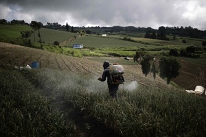 El sector agropecuario de América debate sobre las acciones climáticas - MarketData