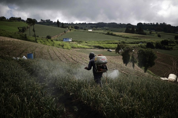 El sector agropecuario de América debate sobre las acciones climáticas - MarketData