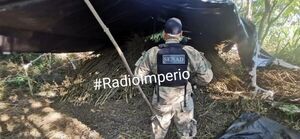 Senad destruyó más de 14 toneladas de marihuana en la colonia Santa Clara - Radio Imperio