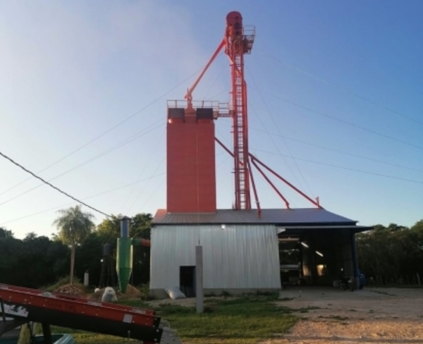 Diario HOY | Intervienen un silo con conexión eléctrica clandestina en Cordillera