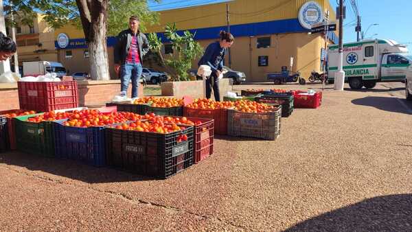 Productores de tomates generan buenas ventas en feria