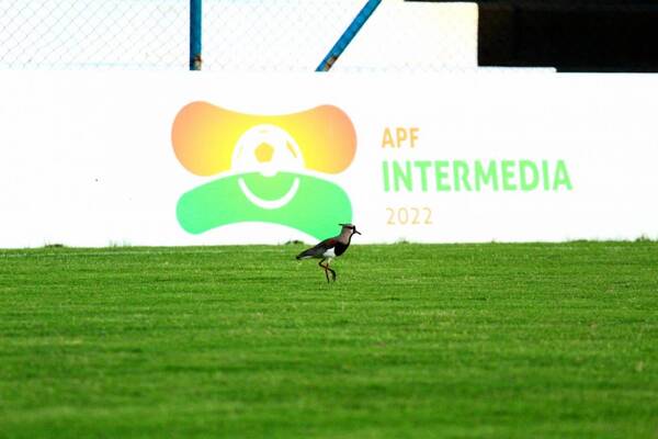 Crónica / Intermedia: Este viernes se pondrá en marcha la 5º fecha