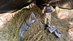 Agentes de la Senad anularon 14 toneladas de marihuana en Colonia Santa Clara - Megacadena — Últimas Noticias de Paraguay