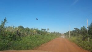 Destruyen 23 hectáreas de marihuana en Puentesiño