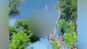 Un hombre muere electrocutado mientras podaba un árbol en Paraguarí