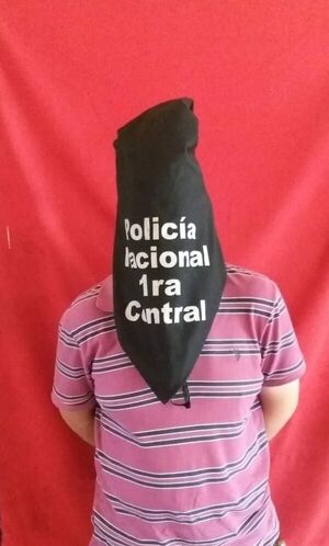 Detenido por supuesto robo de mercaderías a su expatrón - Nacionales - ABC Color