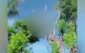 Un hombre muere electrocutado mientras podaba un árbol en Paraguarí – Prensa 5