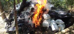 Destruyen 11.200 kilos de marihuana en Puentesiño - Judiciales.net