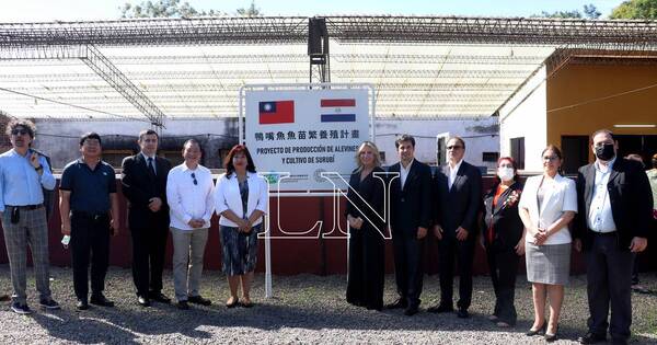 La Nación / Taiwán contribuye en desarrollo de la acuicultura con laboratorio de reproducción artificial