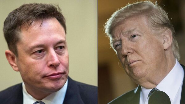 ¿Regresará Donald Trump al Twitter de Elon Musk?