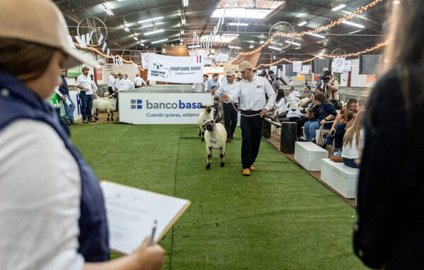 Banco Basa, un aliado estratégico para el crecimiento de la ovinocultura