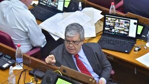 En Senado aconsejan rechazar el proyecto que criminaliza los cierres de rutas