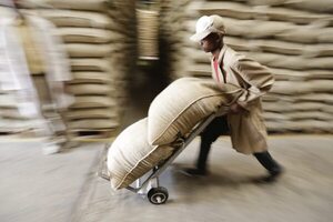 Panamá importará 80.000 quintales de café por desabastecimiento - MarketData