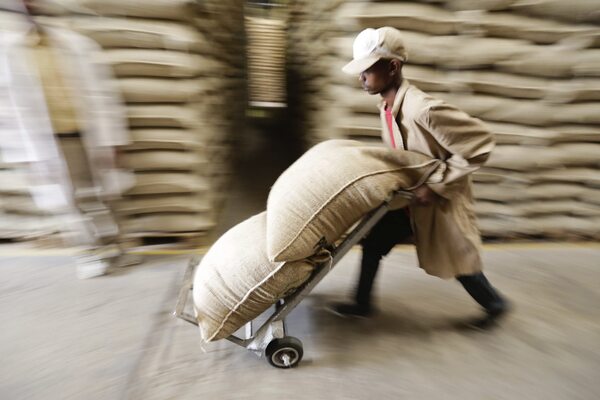 Panamá importará 80.000 quintales de café por desabastecimiento - MarketData