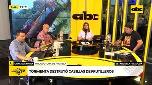 Tormenta destruyó casillas de frutilleros - ABC Noticias - ABC Color