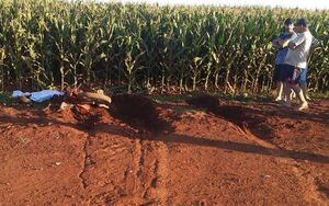 Tractor perdió la dirección y causó accidente fatal - ABC en el Este - ABC Color