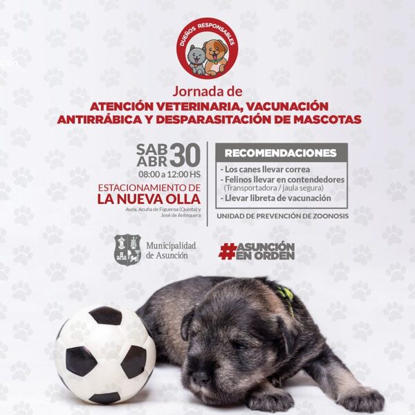 Vacunación para mascotas este sábado en la Olla | 1000 Noticias