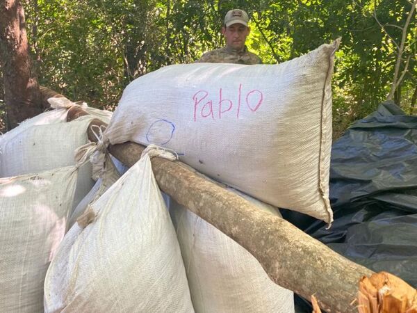 Senad destruye plantaciones de marihuana en la colonia Santa Clara