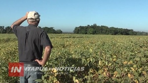 UNICOOP Y COOP. NARANJITO LLEVAN ADELANTE EXITOSO PROGRAMA DE CERTIFICACIÓN SOSTENIBLE