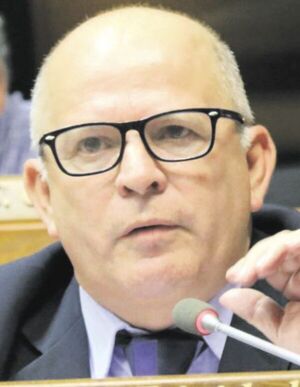 Diputados buscan más “días libres” para la campaña electoral  - Nacionales - ABC Color