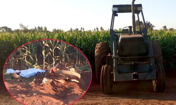 Un motociclista muerto y su acompañantehospitalizada tras ser embestidos por tractor – Diario TNPRESS