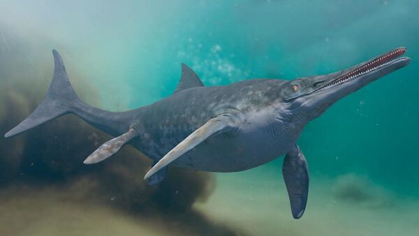 Hallan en los Alpes el mayor diente de dinosaurio marino del mundo