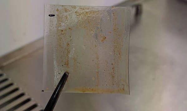 Diario HOY | Nuevas bacterias pueden viajar por los océanos adheridas al plástico