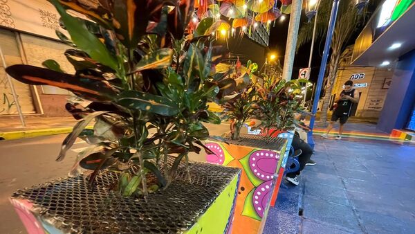 Ponen "rejas" a plantas para que no se las roben