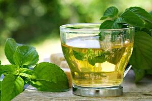 Boldo: mucho más que un té digestivo